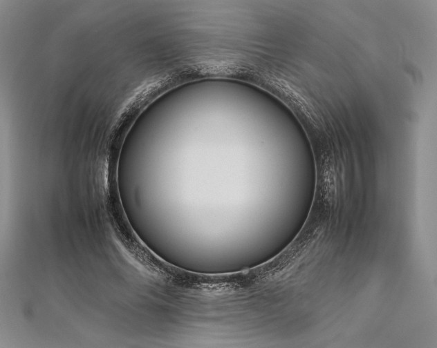 X0000113010686200908271409