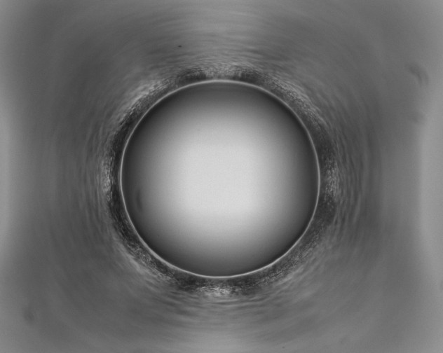 X0000113010687200908271409