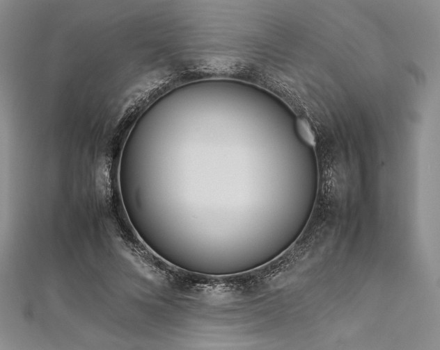 X0000113010688200908271409