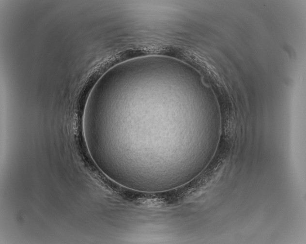 X0000113010689200908271409