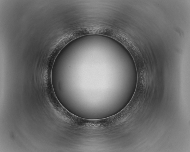 X0000113010690200908271409