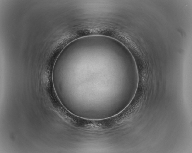 X0000113010691200908271409