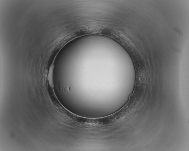 X0000113010693200908271409