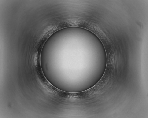 X0000113010694200908271409