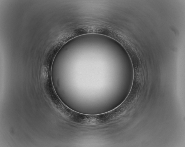 X0000113010695200908271409