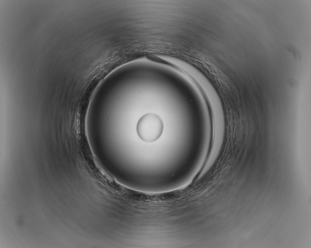 X0000113010696200908271409