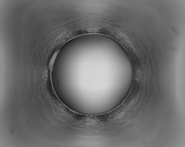 X0000113010697200908271409