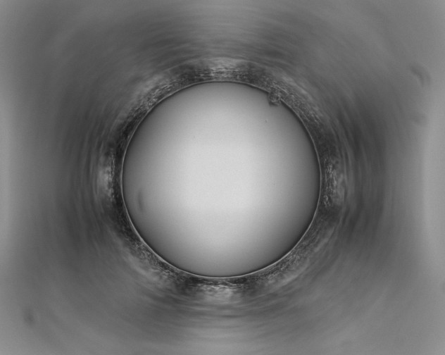 X0000113010698200908271409