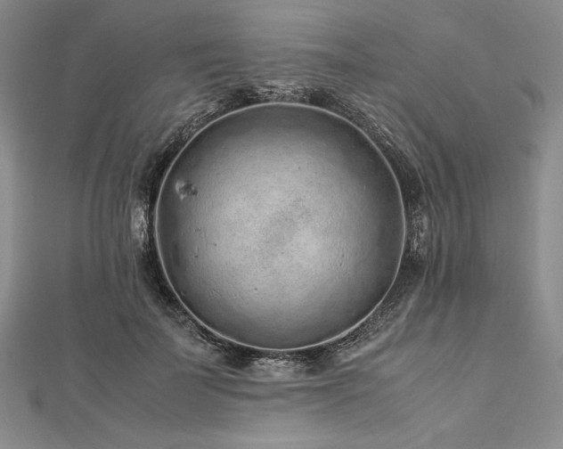 X0000113010699200908271409