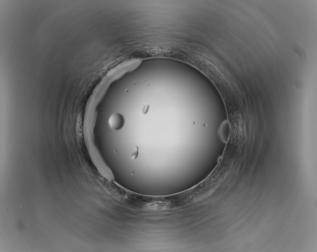 X0000113010700200908271409