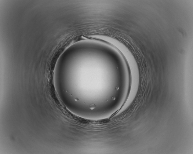 X0000113010701200908271409