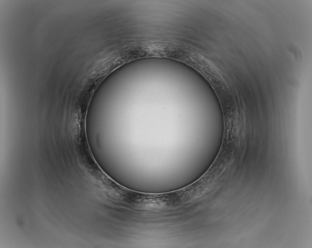 X0000113010702200908271409