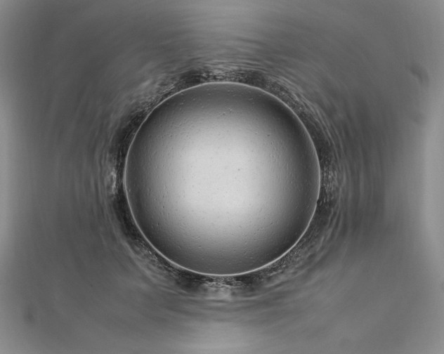 X0000113010703200908271409