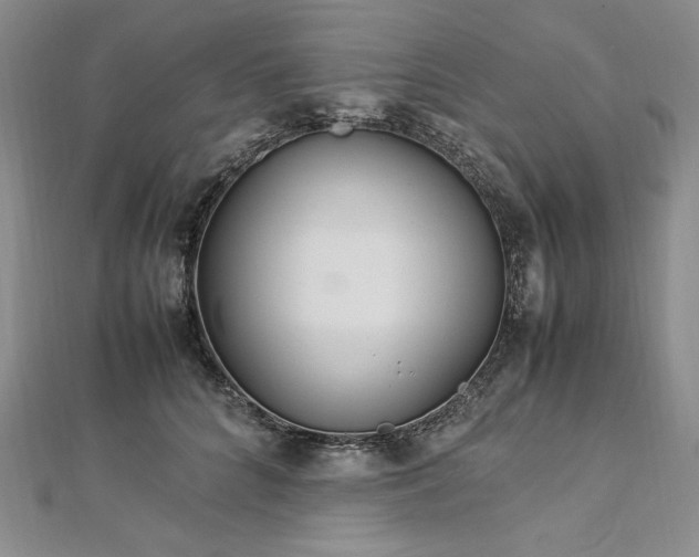 X0000113010704200908271409