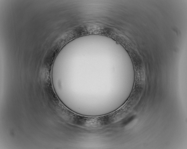 X0000113010705200908271409