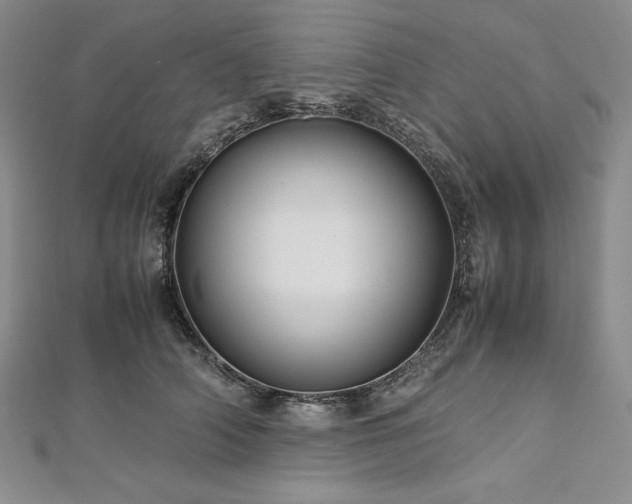 X0000113010706200908271409