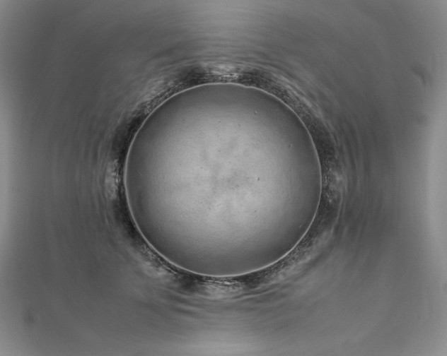 X0000113010707200908271409