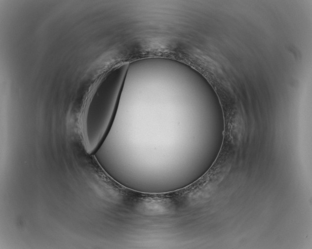 X0000113010708200908271409