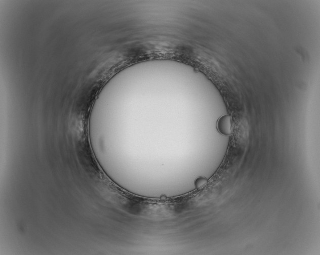 X0000113010709200908271409