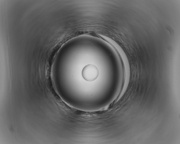 X0000113010712200908271409