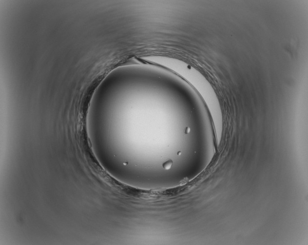 X0000113010713200908271409