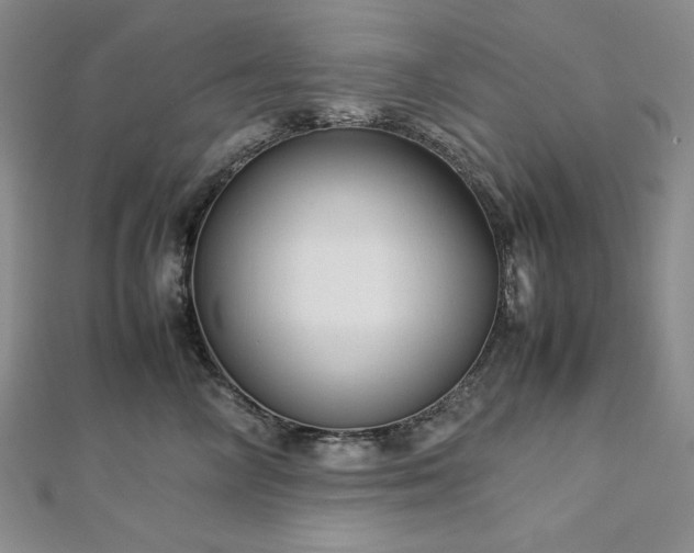 X0000113010714200908271409