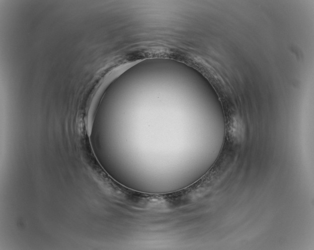 X0000113010715200908271409