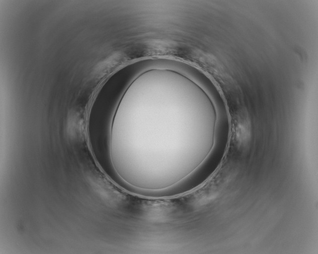 X0000113010716200908271409