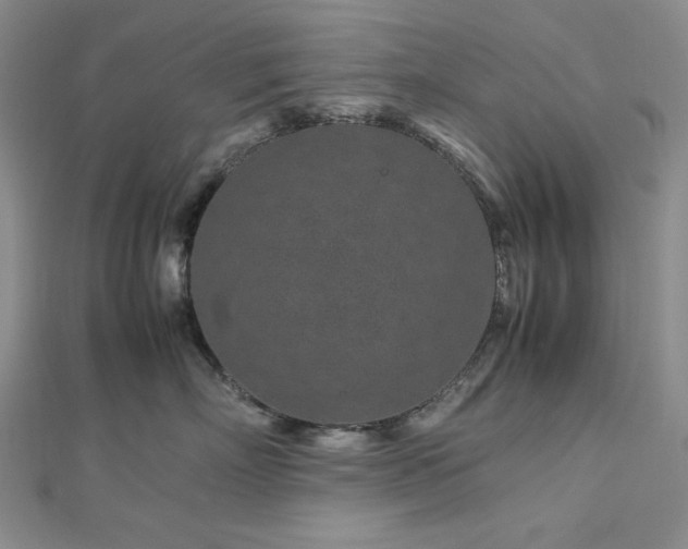 X0000113010718200908271409