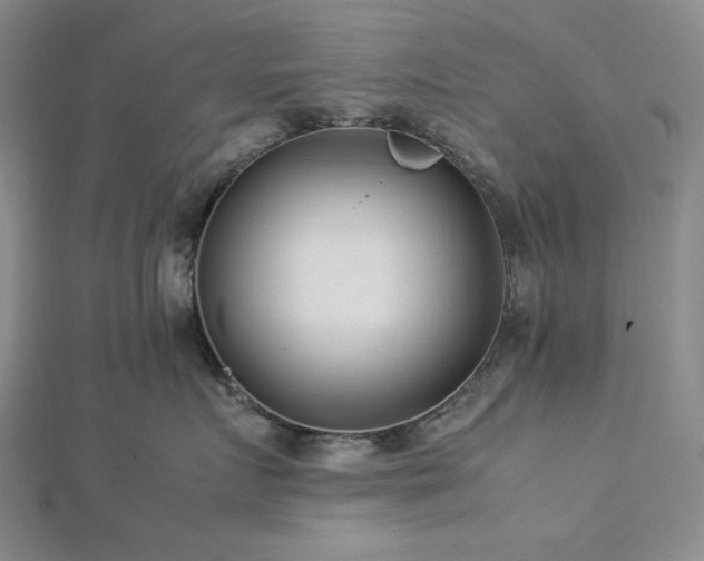 X0000113010719200908271409