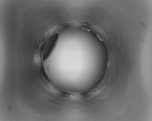 X0000113010720200908271409