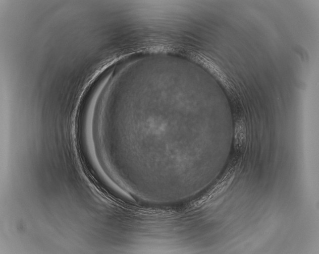 X0000113010722200908271408