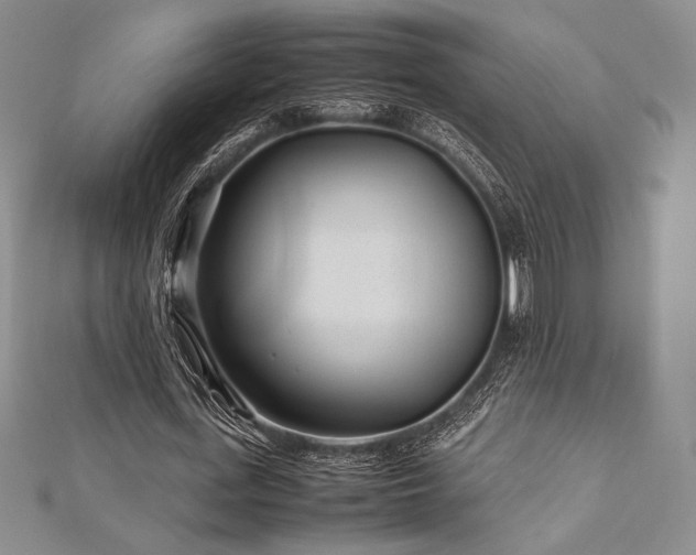 X0000113010723200908271408