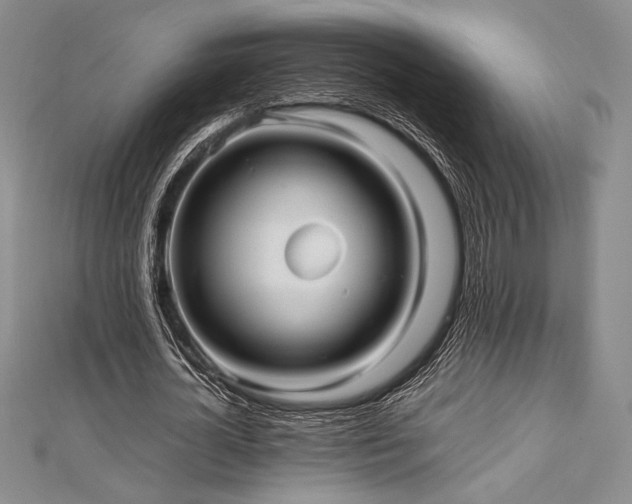 X0000113010724200908271408