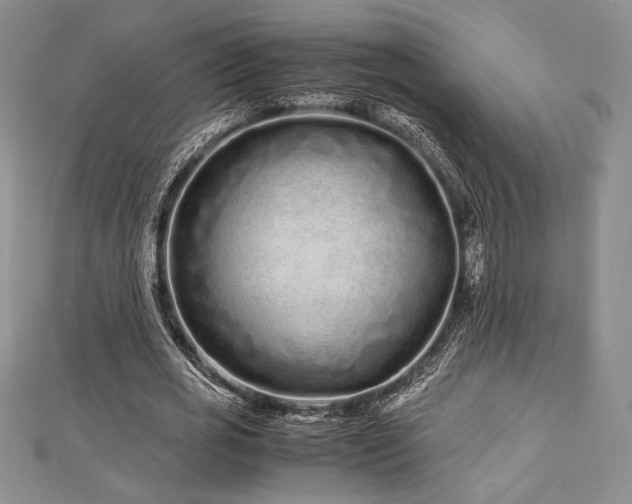 X0000113010725200908271408