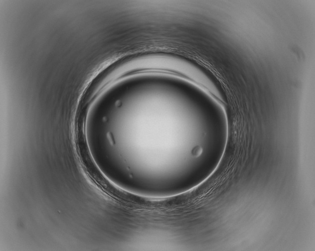 X0000113010726200908271408