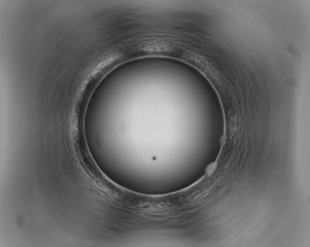 X0000113010727200908271408