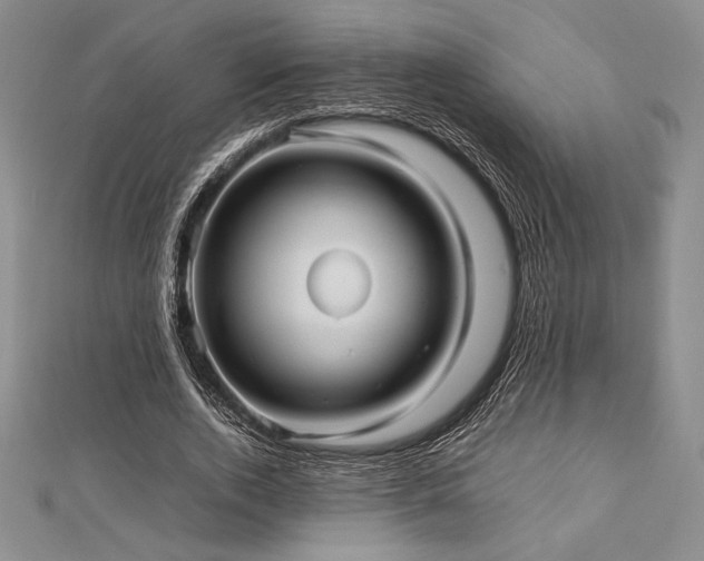 X0000113010728200908271408