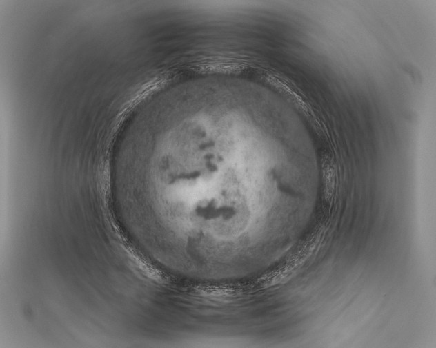 X0000113010729200908271408