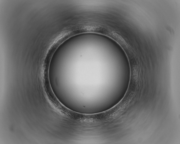 X0000113010730200908271408