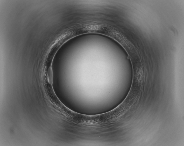 X0000113010731200908271408