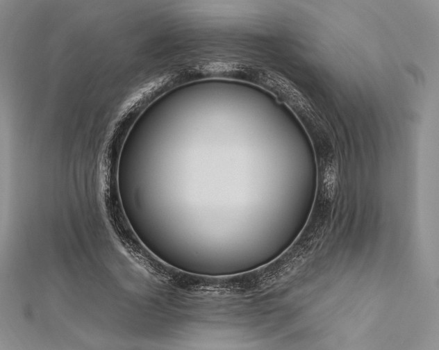 X0000113010732200908271408