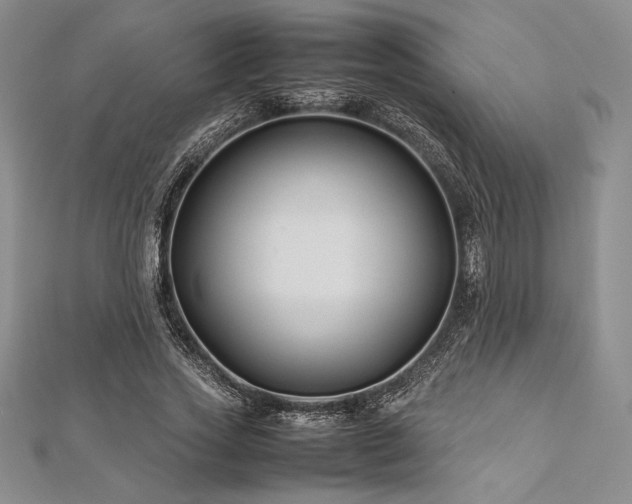 X0000113010733200908271408