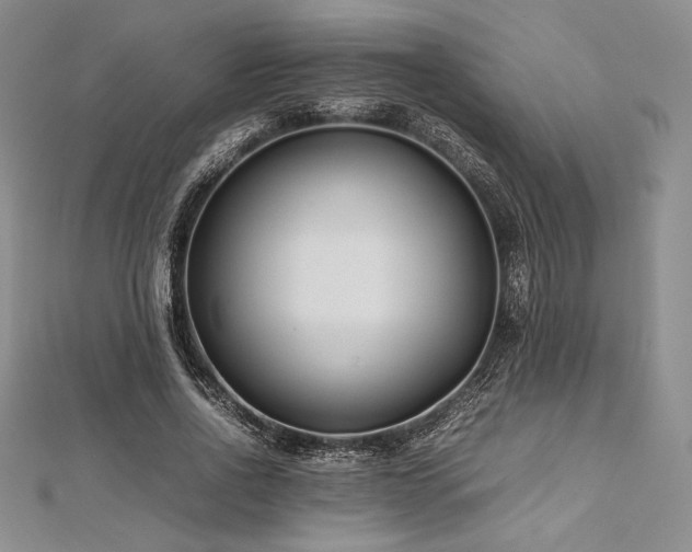 X0000113010734200908271408