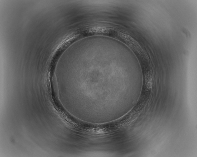 X0000113010735200908271408