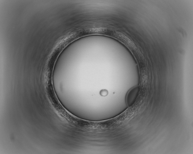 X0000113010736200908271408