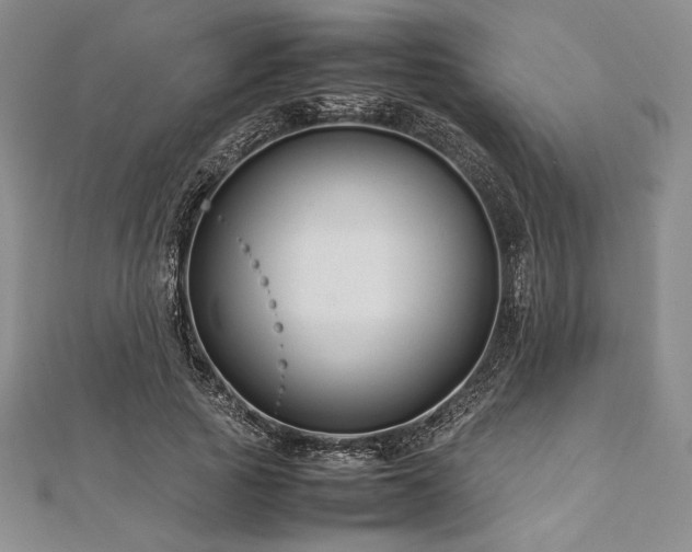 X0000113010737200908271408