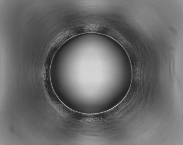 X0000113010738200908271408