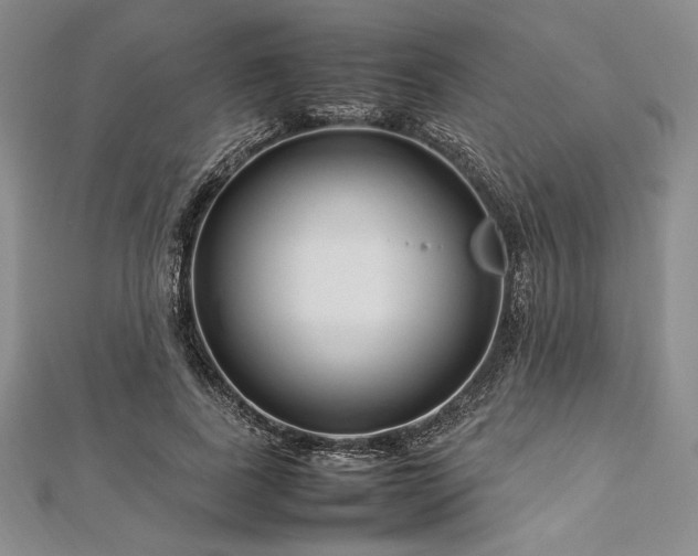 X0000113010739200908271408