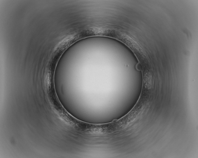 X0000113010740200908271408